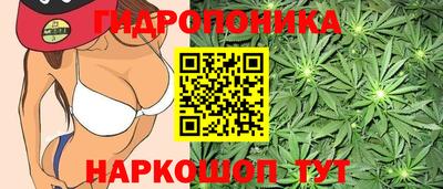 стаф Комсомольск-на-Амуре