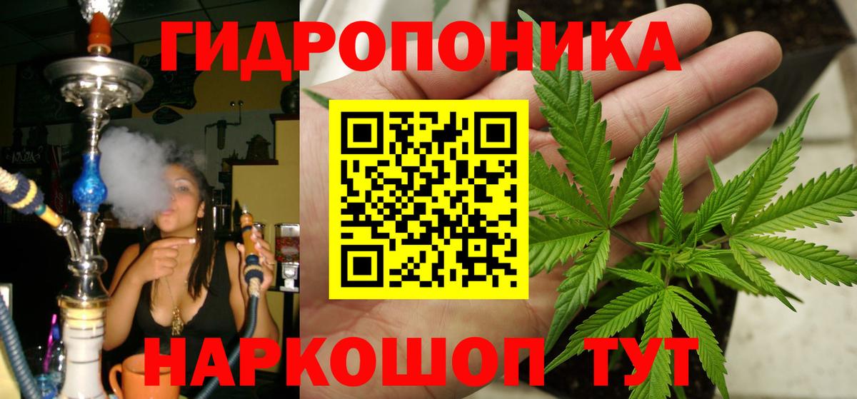 Бошки Шишки MAZAR Уссурийск